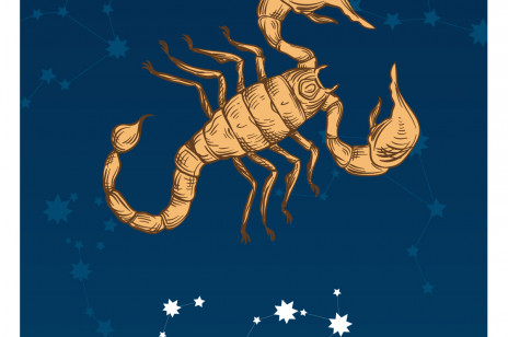 Horoskop 2020 Skorpion (24.10–22.11): roczny horoskop miłosny, partnerski, finansowy i zdrowotny na 2020 rok