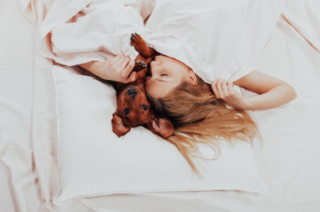 Spanie z psem to nawyk, z którego powinniście zrezygnować! Wyjaśniamy dlaczego