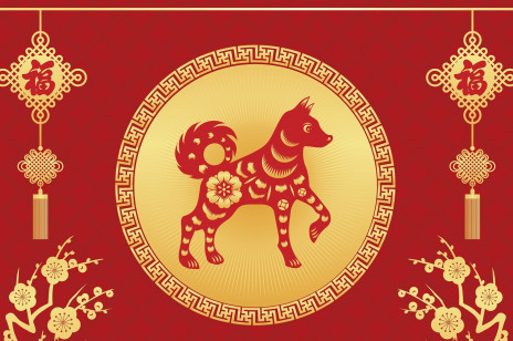 Horoskop chiński: Pies. Charakterystyka znaku zodiaku. Jakie cechy są przypisane osobie urodzonej w Roku Psa?