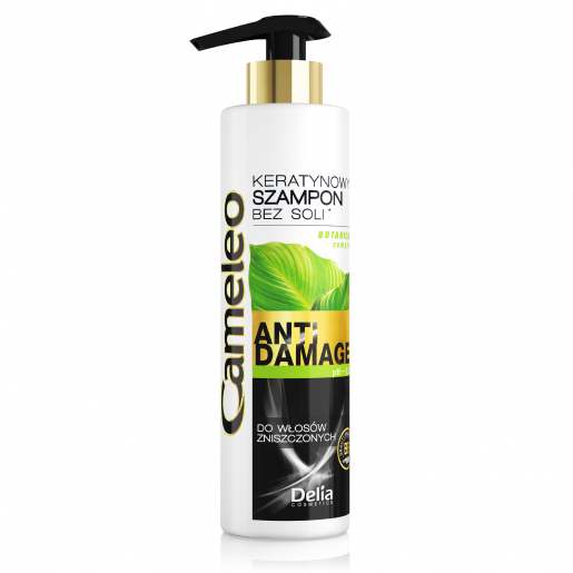 Cameleo BB Anti Damage Botanical Complex - Szampon keratynowy do włosów zniszczonych
