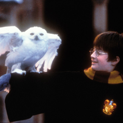 „Harry Potter” będzie dostępny na Netflix! Kiedy filmy o młodym czarodzieju trafią na platformę streamingową?