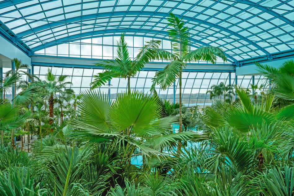 Suntago Wodny Świat – wiemy, jak wygląda największy kryty aquapark w Europie [DUŻO ZDJĘĆ]