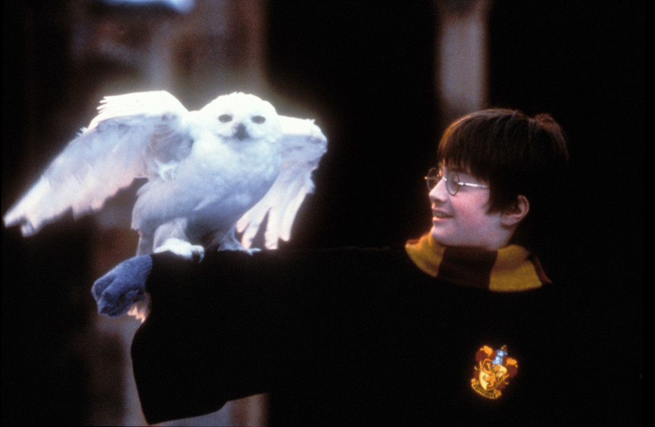 „Harry Potter” będzie dostępny na Netflix! Kiedy filmy o młodym czarodzieju trafią na platformę streamingową?