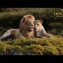 Oficjalny zwiastun filmu „Król Lew” Disneya