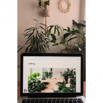 Projektrosliny.pl – tu kupicie rośliny doniczkowe przez internet.