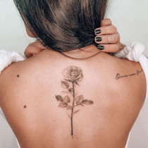 Tatuaż róża