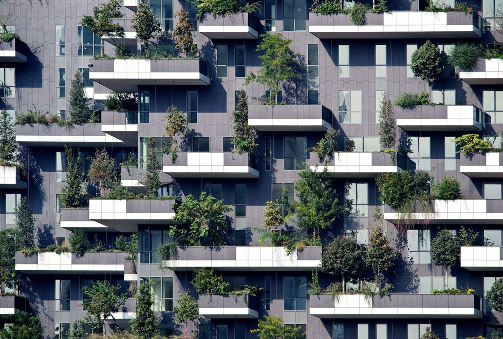 Mieszkanie w drzewach - pierwszy na taką skalę budynek na świecie 4