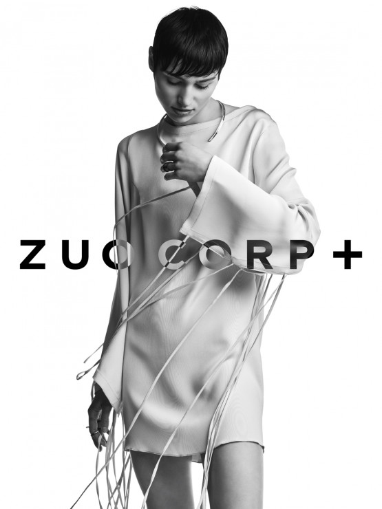 21_02_2016_A.Plucinski_Zuo30286_crop_logo