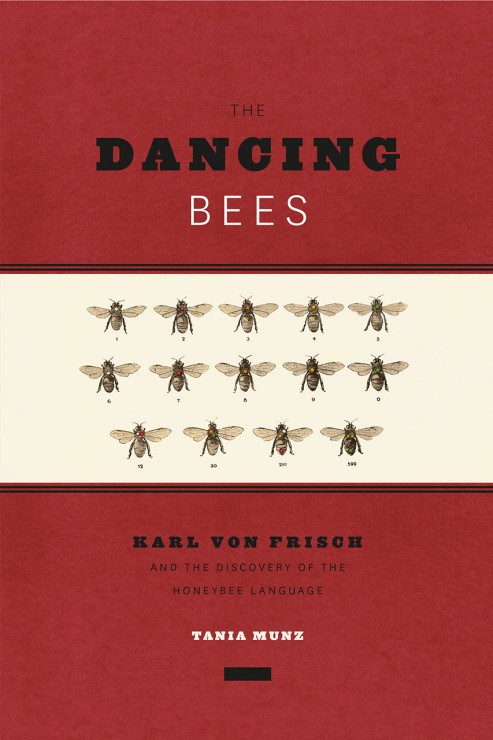 Książki o pszczołach, które są ciekawsze, niż sądzicie: „The Dancing Bees"
