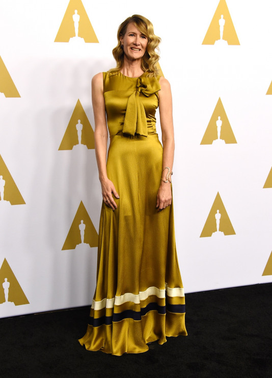 Oscary 2017, nominowani:  Laura Dern
