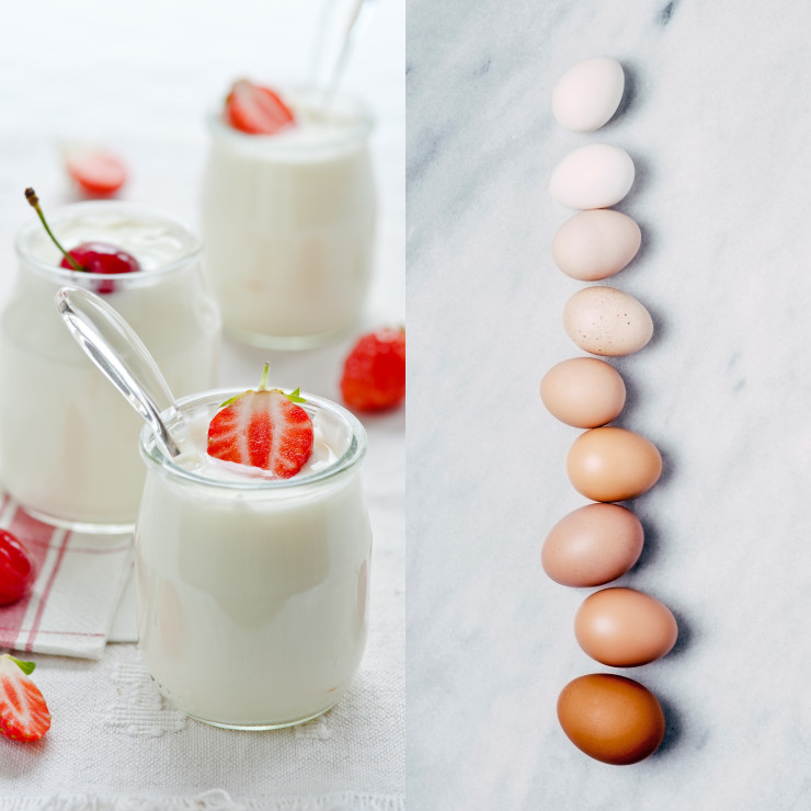 Produkty, które przyspieszą Twój metabolizm - nabiał i jajka