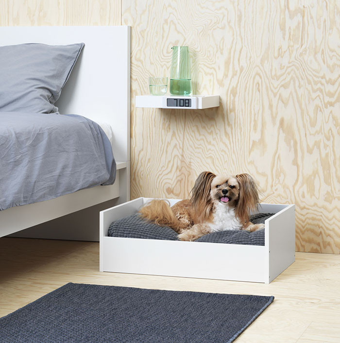Kolekcja Ikei Lurvig stworzona z myślą o psach i kotach