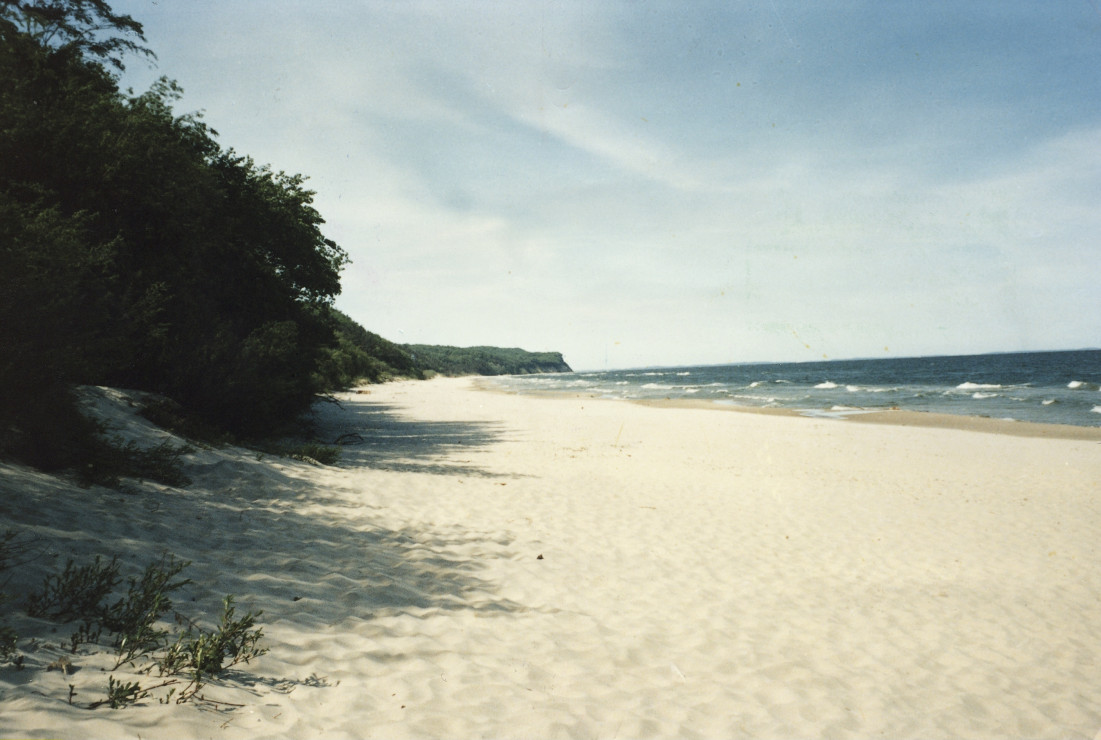 Plaża Wolin